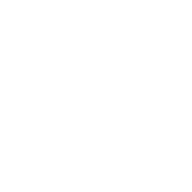 Salary Icon