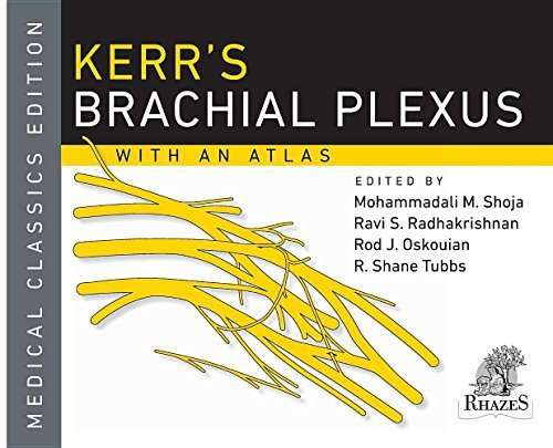 Kerr’s Brachial Plexus cover