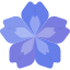 Coding Icon