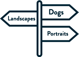 8 Categories Icon