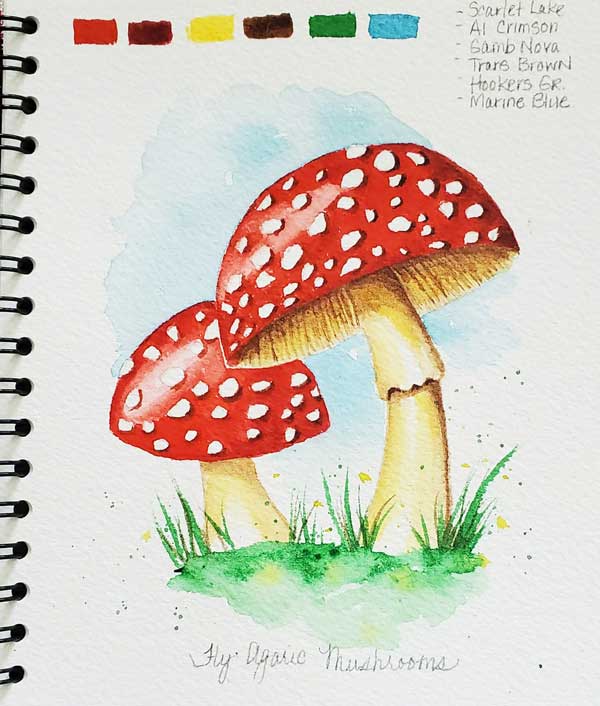 Featured Review Image