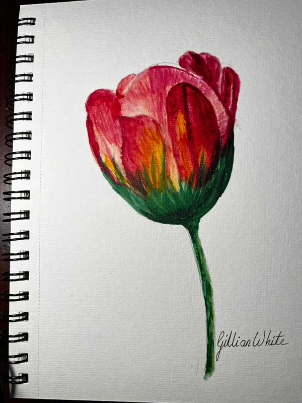 Featured Review Image