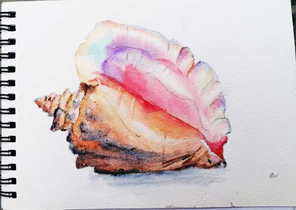 Featured Review Image