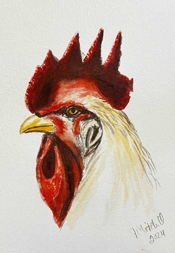 Featured Review Image