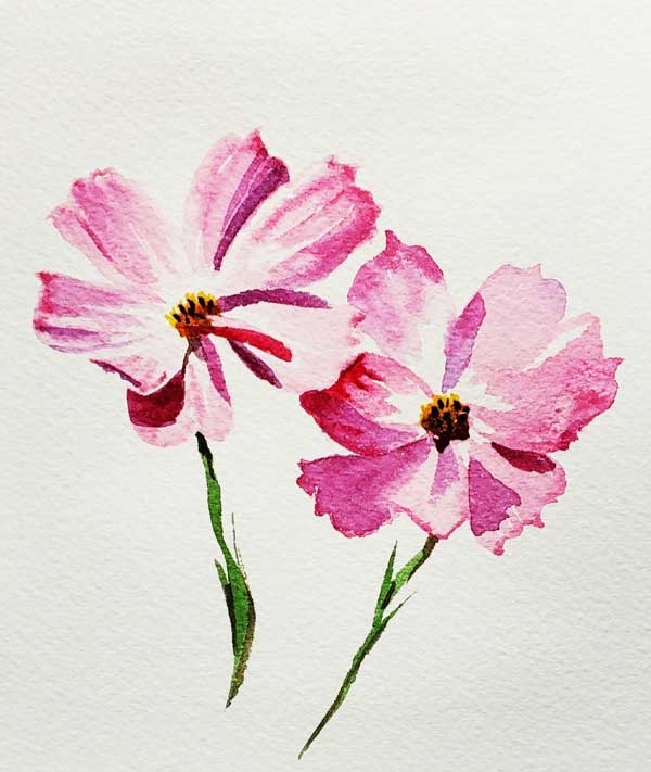 Featured Review Image