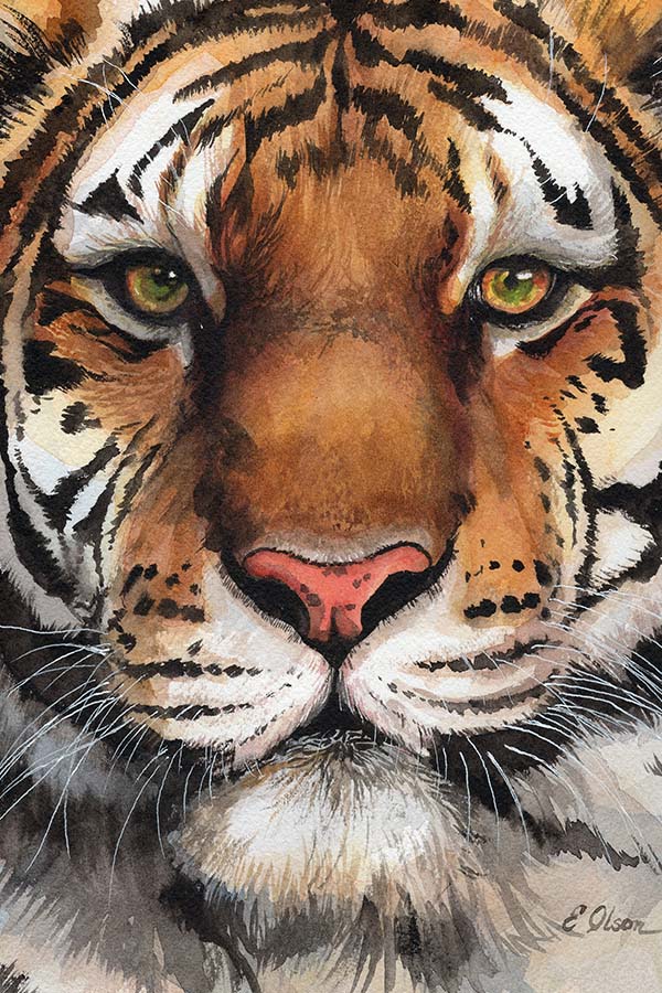 Watercolor Tiger