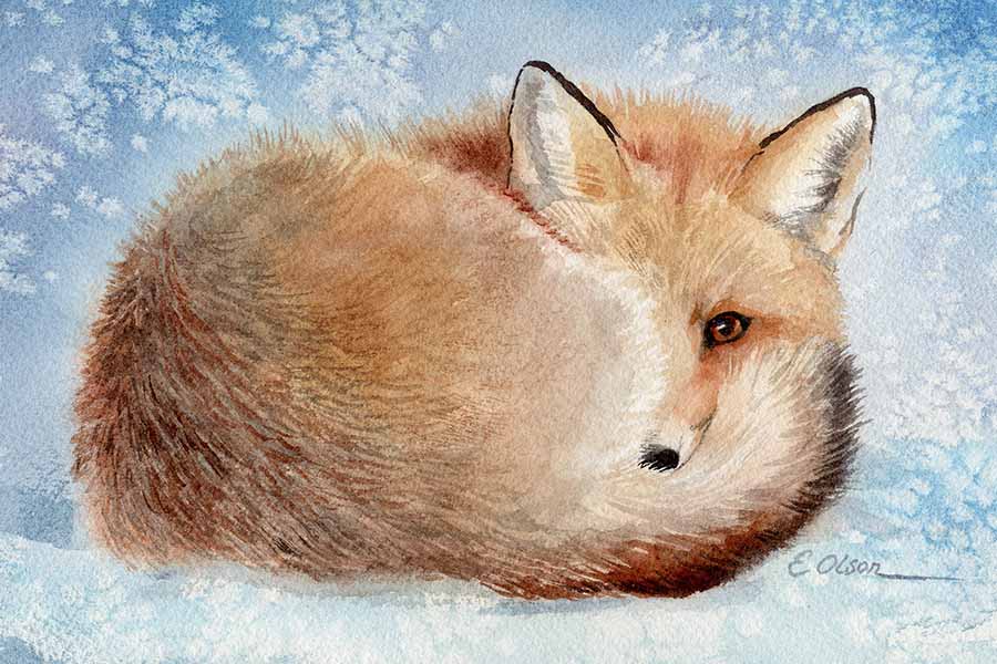 Watercolor Fox