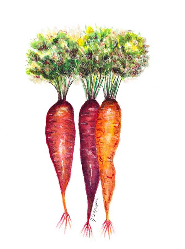 Featured Review Image