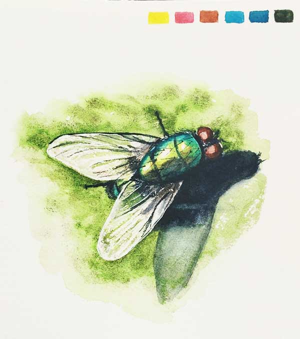 Featured Review Image