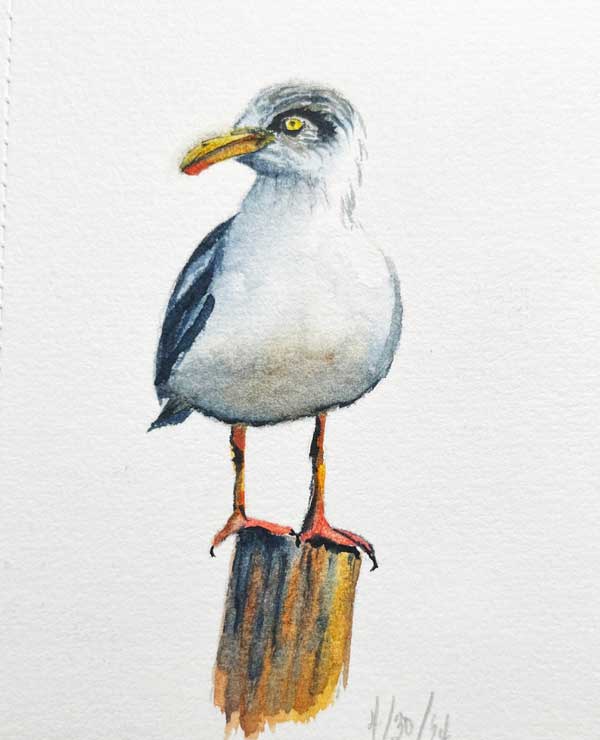 Featured Review Image