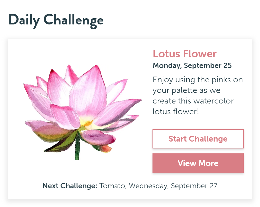 Daily Challenge Examples