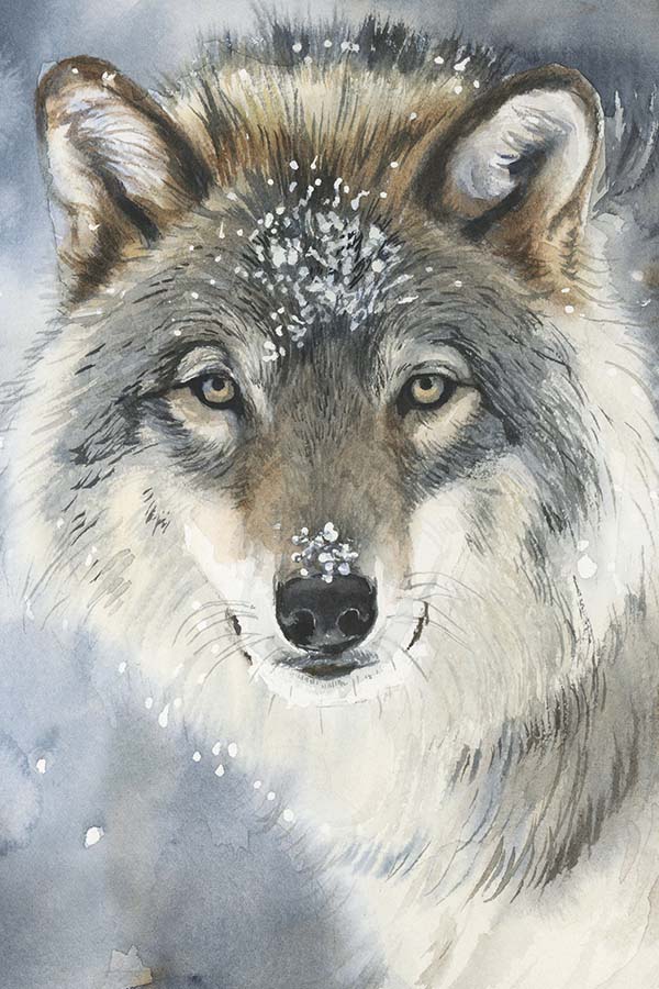 Watercolor Wolf