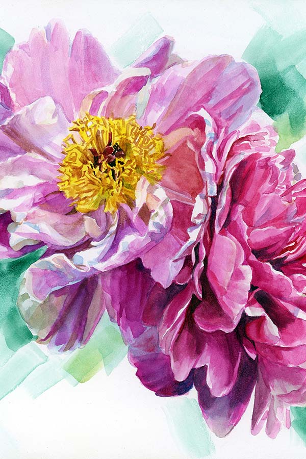 Watercolor Peonies