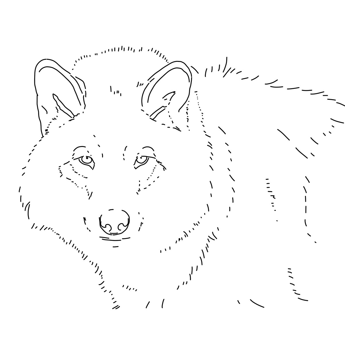 Monday Through Friday Daily Challenges