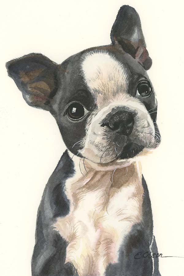 Watercolor Terrier