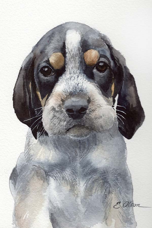 Watercolor Beagle